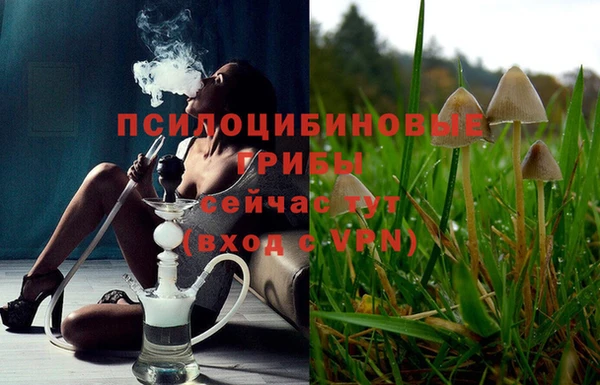 прущий лед Михайлов