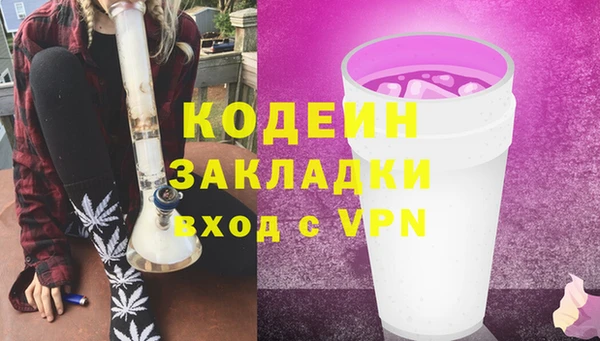 прущие грибы Михайловск