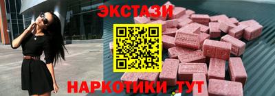 амф Гусев