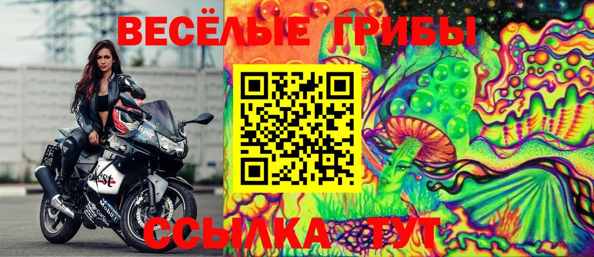 Галлюциногенные грибы GOLDEN TEACHER Иваново