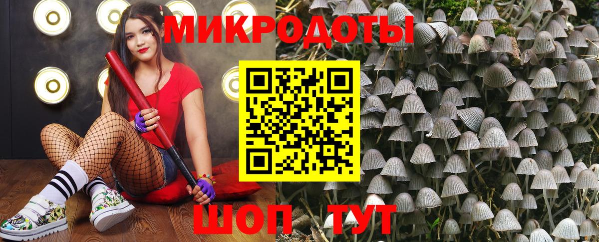 Галлюциногенные грибы Cubensis Иваново