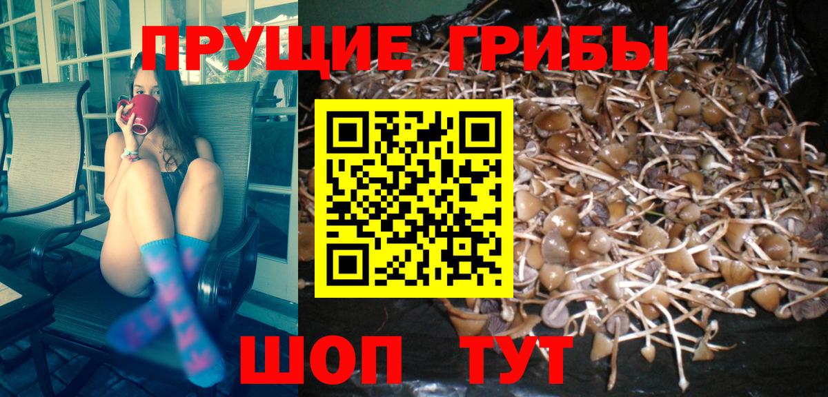 Иваново  Псилоцибиновые грибы ЛСД  Вход с VPN 