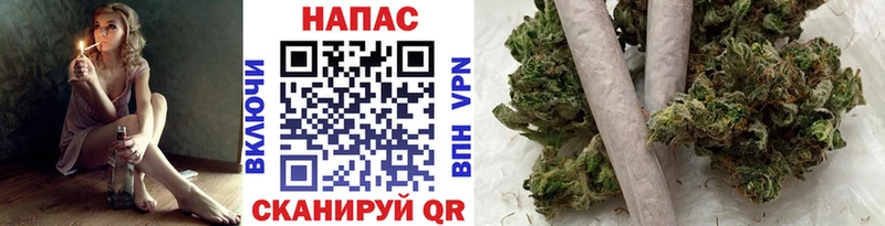 Шишки марихуана сатива  кракен   Иваново 